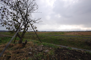 DSC_2896.JPG