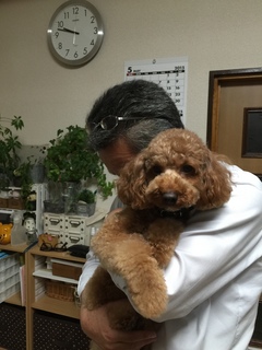 2015-06-01 21.44.52.jpg