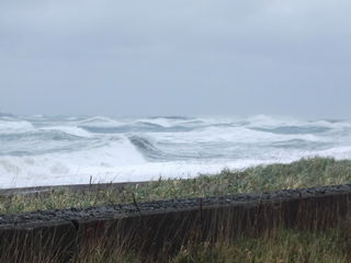 DSCF0748.JPG