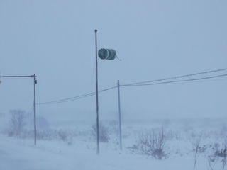 DSCF9531.JPG