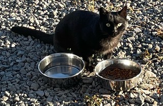 image1.jpeg